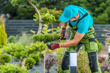 Entretien de jardin et espaces verts à Lille