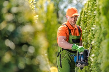 travaux de jardinage par un paysagiste Villeneuve-d'Ascq